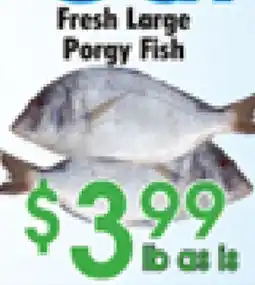 Danforth Food Market Fresh Large Porgy Fish offer