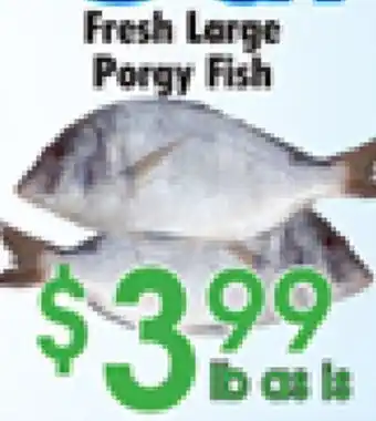 Danforth Food Market Fresh Large Porgy Fish offer