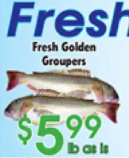 Danforth Food Market Fresh Golden Groupers offer