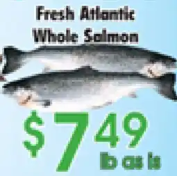 Danforth Food Market Fresh Atlantic Whole Salmon offer