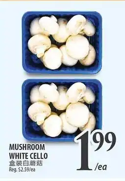 Al Premium Food Mart MUSHROOM WHITE CELLO offer