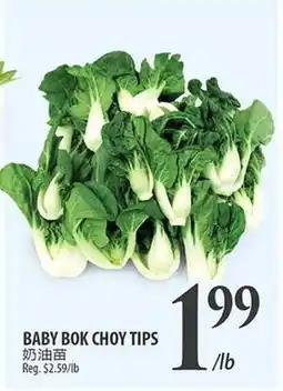 Al Premium Food Mart BABY BOK CHOY TIPS offer