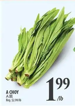 Al Premium Food Mart A CHOY offer