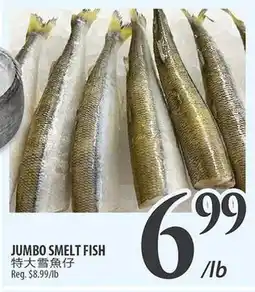 Al Premium Food Mart JUMBO SMELT FISH offer