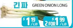 PAT Mart GREEN ONION LONG offer