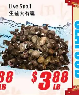 WinCo Food Mart Live Snail offer