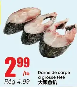 Btrust Supermarket Darme de carpe à grosse tête offer