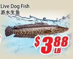 WinCo Food Mart Live Dog Fish offer