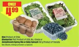 FreshCo Kiwi blueberries or compliments spring mix or baby spinach offer
