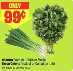 FreshCo Cilantro, green onions offer