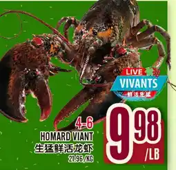 Marché Lian Tai 4-6 HOMARD VIVANT offer
