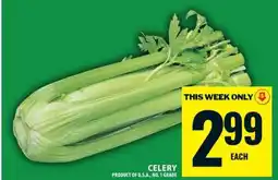 Food Basics CELERY offer