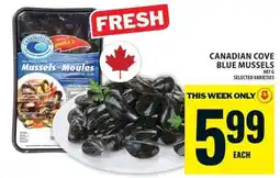 Food Basics Canadian Cove Blue Mussels offer