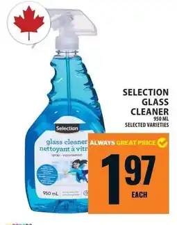 Food Basics SELECTION GLASS CLEANER offer