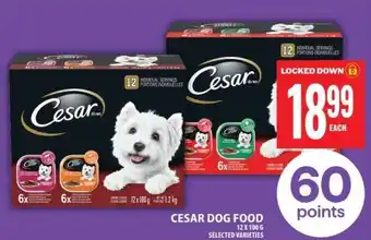 Food Basics CESAR DOG FOOD offer