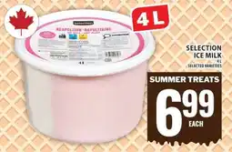 Food Basics SELECTION ICE MILK offer