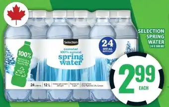 Food Basics SELECTION SPRING WATER offer