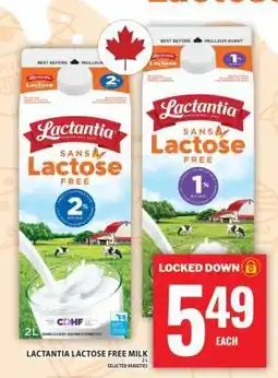 Food Basics LACTANTIA LACTOSE FREE MILK offer