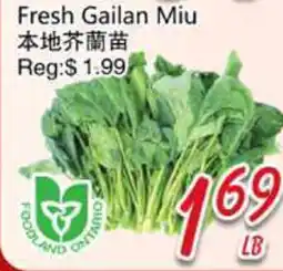 Foody Mart Fresh Gailan Miu offer
