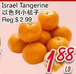 Foody Mart Israel Tangerine offer