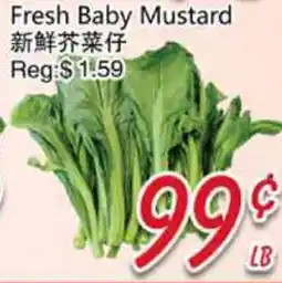 Foody Mart Fresh Baby Mustard offer