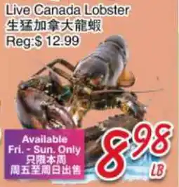 Foody Mart Live Canada Lobster offer