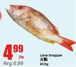 Btrust Supermarket Lane Snapper offer