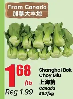 Btrust Supermarket Shanghai Bok Choy Miu offer