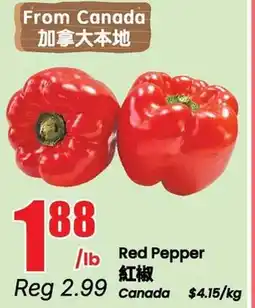 Btrust Supermarket Red Pepper offer