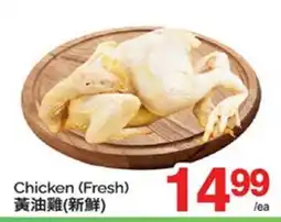 T&T Supermarket CHICKEN (FRESH) offer