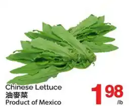 T&T Supermarket CHINESE LETTUCE offer
