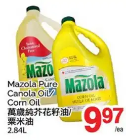 T&T Supermarket MAZOLA PURE CANOLA OIL/CORN OIL offer