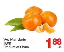 T&T Supermarket WO MANDARIN offer