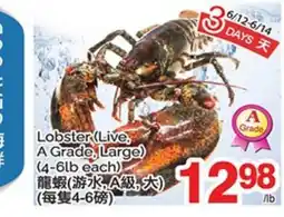 T&T Supermarket LOBSTER (LIVE, A GRADE, LARGE), (4-6lb each) offer