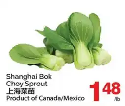 T&T Supermarket SHANGHAI BOK CHOY SPROUT offer