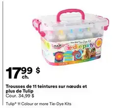 Michaels Trousse de 11 teintures sur nœuds et plus de Tulip offer