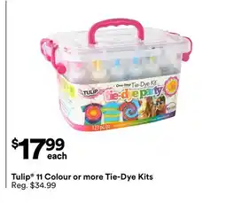 Michaels Tulip 11 Colour or more Tie-Dye Kits offer