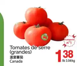T&T Supermarket TOMATES DE SERRE (GRANDES) offer