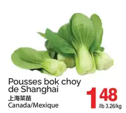 T&T Supermarket POUSSES BOK CHOY DE SHANGHAI offer