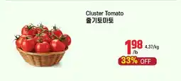 Galleria Supermarket Cluster Tomato offer