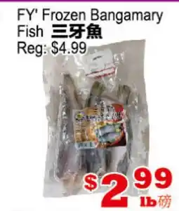 Yuan Ming Supermarket FY Frozen Bangamary Fish offer