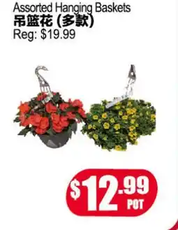 Yuan Ming Supermarket Assorted Hanging Baskets offer