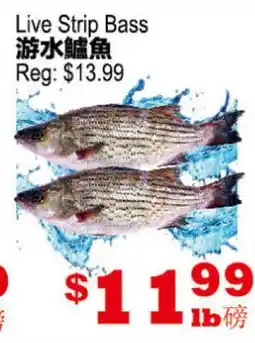 Yuan Ming Supermarket Live Strip Bass offer