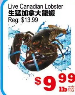 Yuan Ming Supermarket Live Canadian Lobster offer