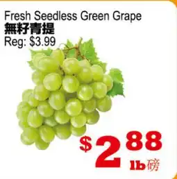 Yuan Ming Supermarket Fresh Seedless Green Grape offer