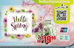 Food Depot Supermarket Orchid offer