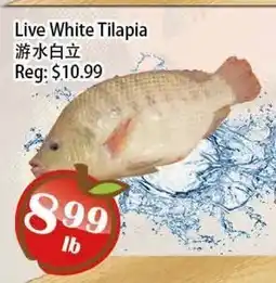 Food Depot Supermarket Live White Tilapia offer