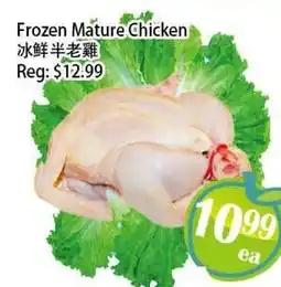 Food Depot Supermarket Frozen Mature Chicken offer