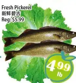 Food Depot Supermarket Fresh Pickerel offer