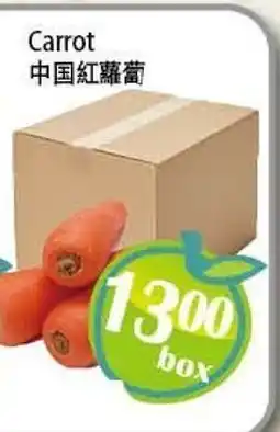 Food Depot Supermarket Carrot offer